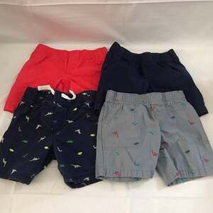 3t shorts lot dino/blue/coral